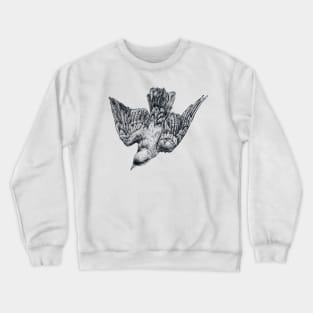 Splendid Starling Crewneck Sweatshirt